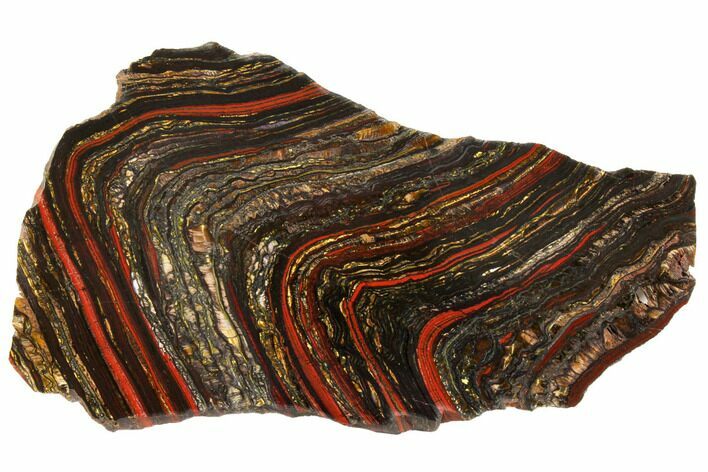Polished Tiger Iron Stromatolite - Billion Years #129452